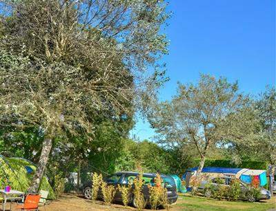 schiereiland plekken met bomen Camping La Roseraie